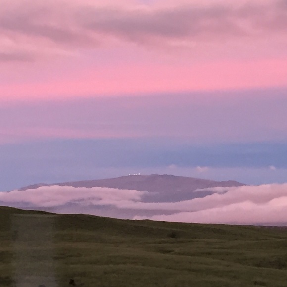 Meet your Posher, Sara. - Picture 8 of 8